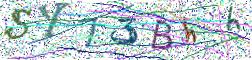 图形验证