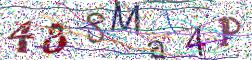 图形验证