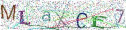图形验证