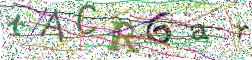 图形验证